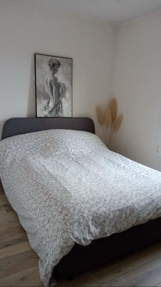  Appartement � louer 2 pi�ces 