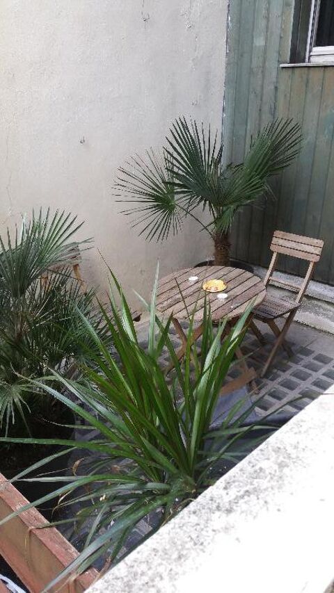  Appartement � louer 1 pi�ce 