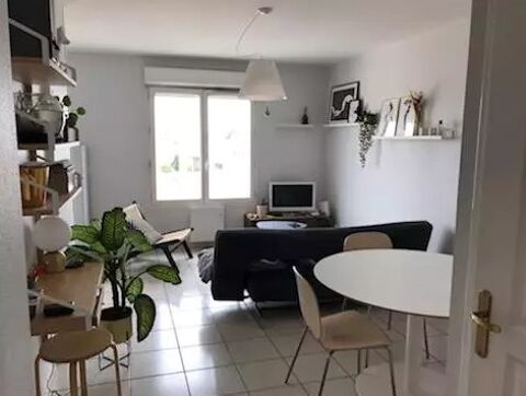  Appartement � louer 2 pi�ces 