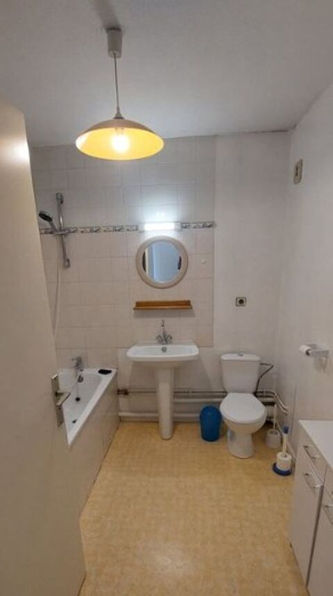  Appartement � louer 1 pi�ce 