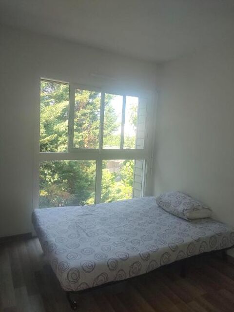  Appartement � louer 1 pi�ce 