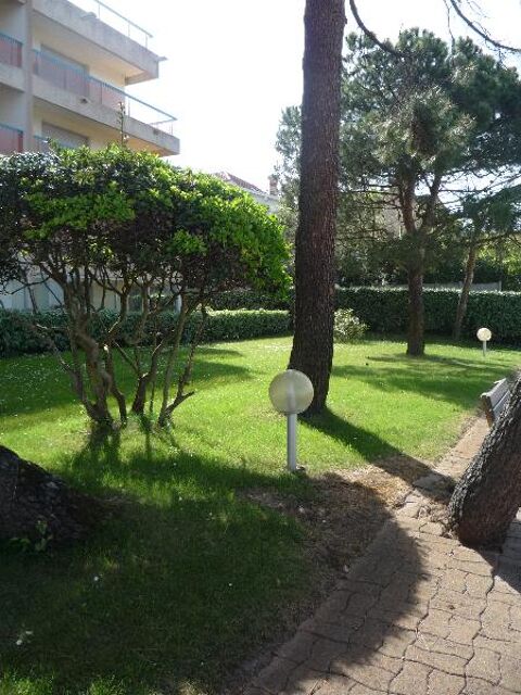  Appartement � louer 1 pi�ce 