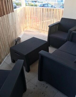  Appartement � louer 3 pi�ces  Eysines