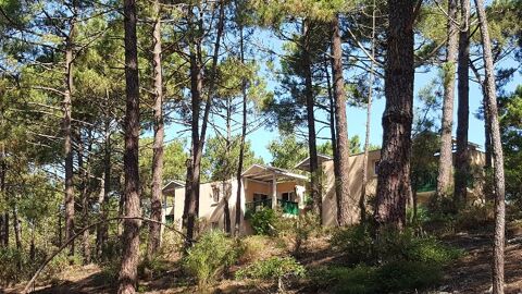  Appartement � louer 2 pi�ces 