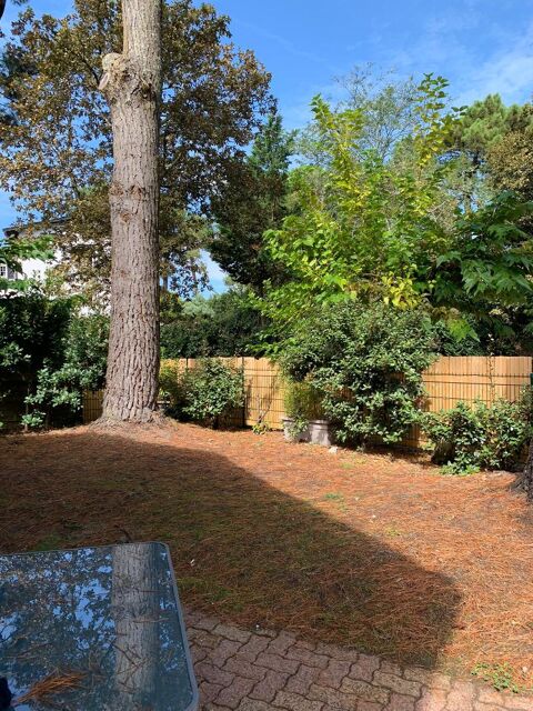  Appartement � louer 2 pi�ces 