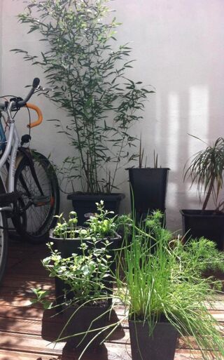  Appartement � louer 2 pi�ces 