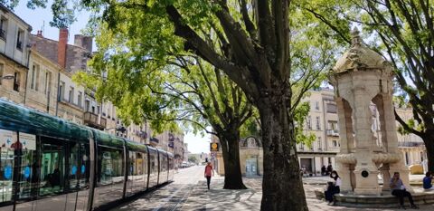 Appartement � louer 3 pi�ces  Bordeaux