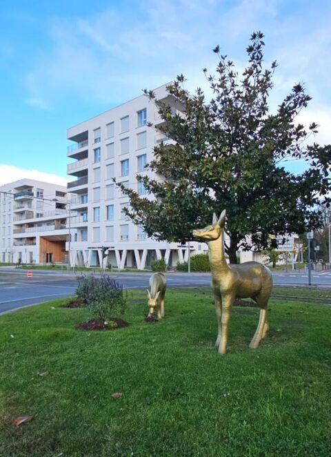  Appartement � louer 3 pi�ces  Cenon