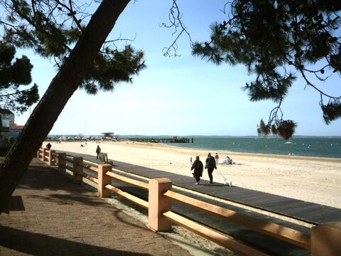  Appartement  louer 1 pice 