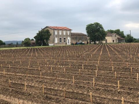   Maison/Villa T5 bis Maison - 5 pi�ce(s)