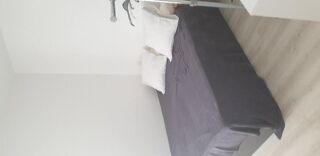  Appartement  louer 1 pice 