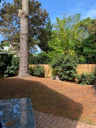  Appartement � louer 2 pi�ces 