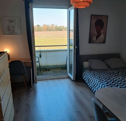  Appartement � louer 1 pi�ce 