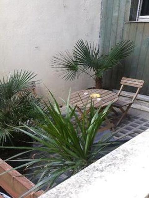  Appartement � louer 1 pi�ce 