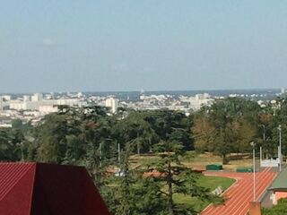  Appartement � louer 2 pi�ces 