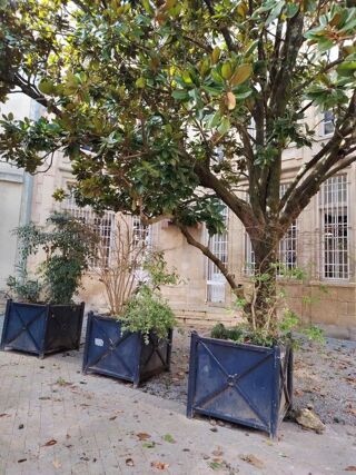  Appartement � louer 1 pi�ce 