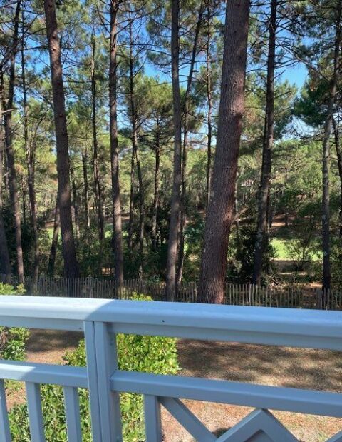  Appartement � louer 2 pi�ces 