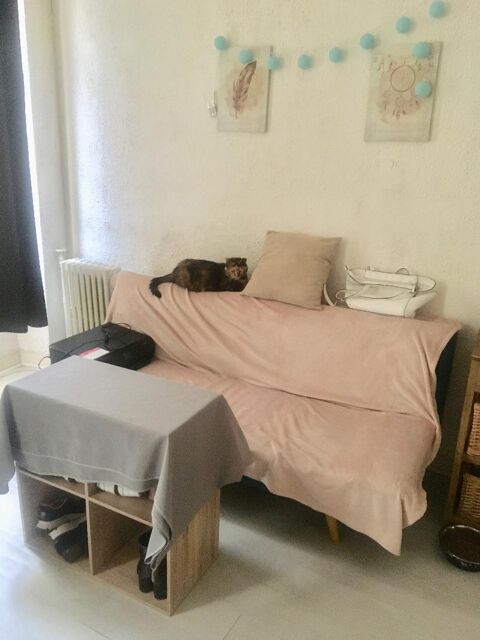  Appartement � louer 1 pi�ce 