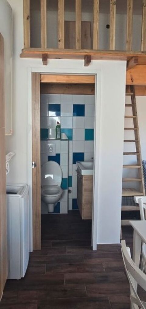  Appartement � louer 1 pi�ce 