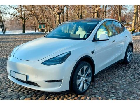 Tesla Model Y AWD Performance Dual Motors 2023 occasion Jouars-Pontchartrain 78760