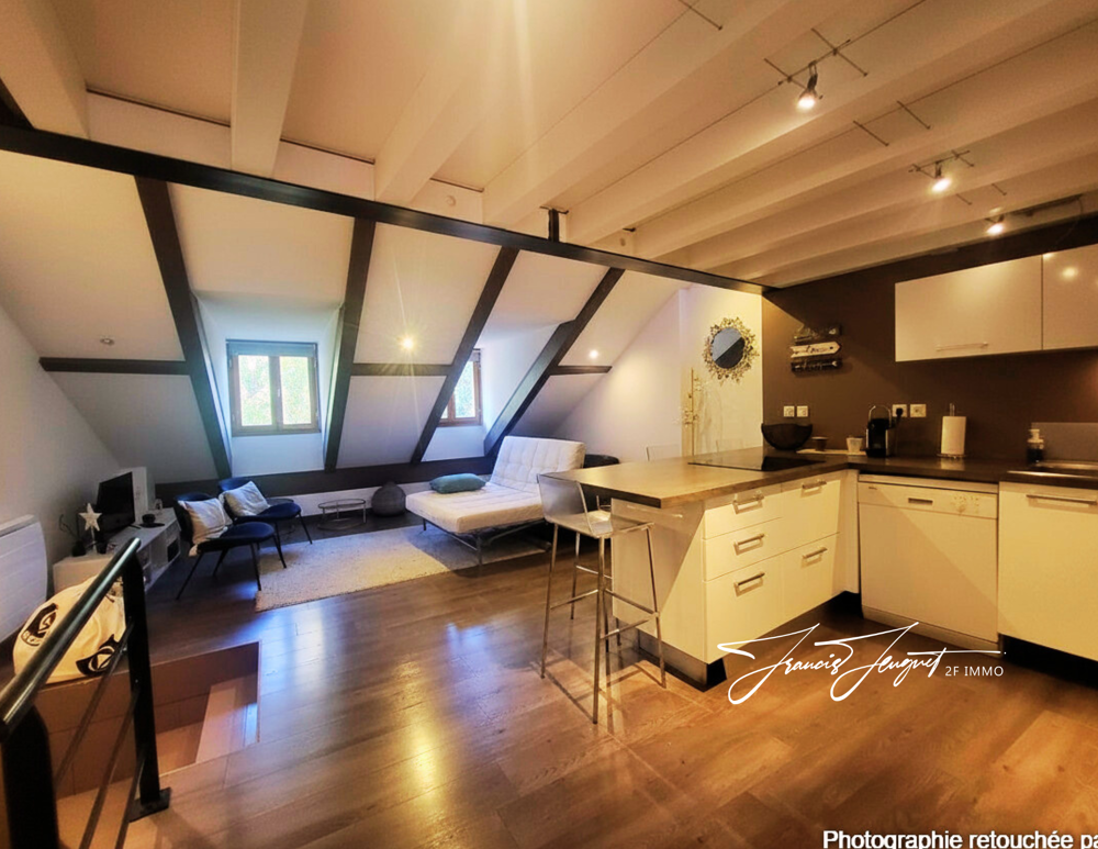 Annecy Vieille Ville - Coup de coeur pour ce loft de 62 m2 utiles