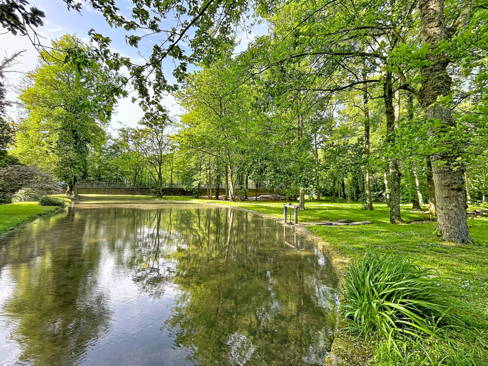 Vente Maison PROPRIÉTÉ D'EXCEPTION   ANCIEN MOULIN DU XIII  SIÈCLE   PLUS DE 420 m2 HABITABLES Rubelles