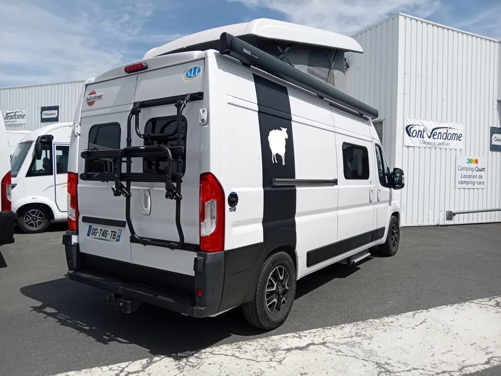  2022 occasion 49300 Cholet