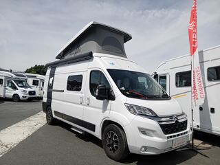  2022 occasion 49300 Cholet