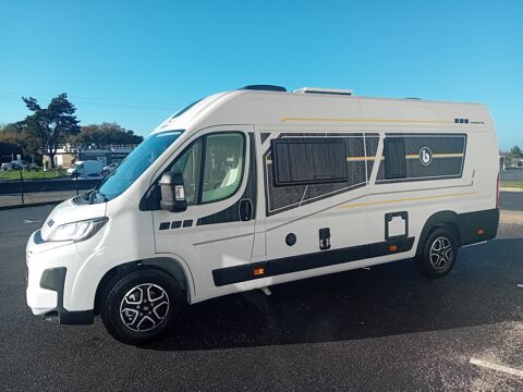   occasion 56400 Plougoumelen