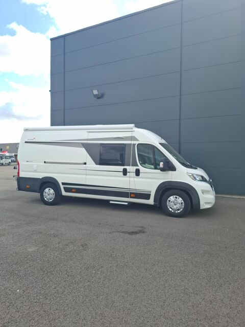  2019 occasion 56400 Plougoumelen