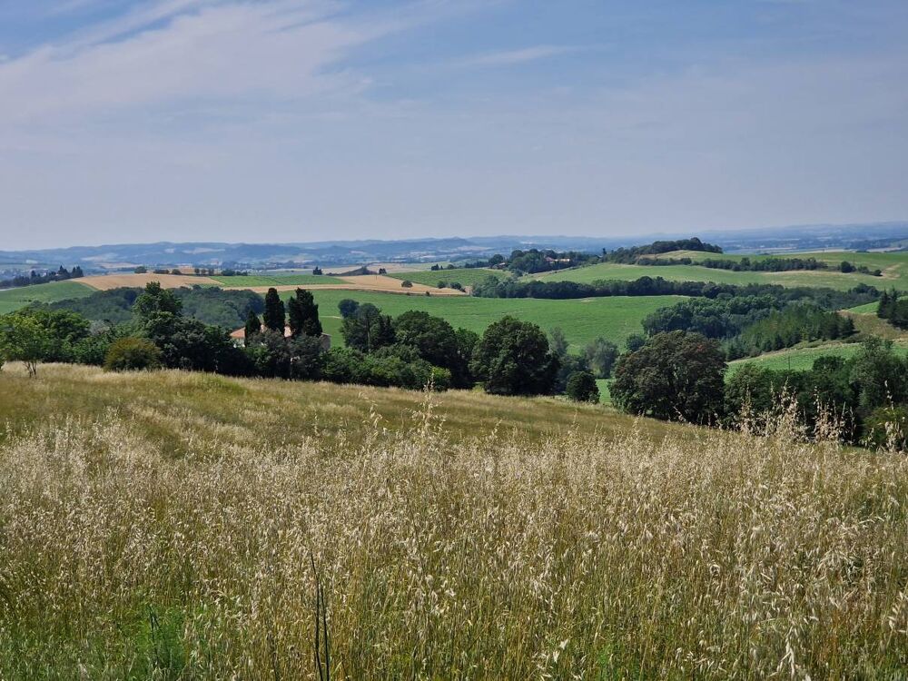 MAS, FERME A VENDRE SECTEUR CARCASSONNE, LANGUEDOC ROUSSILLON, SUD DE LA FRANCE