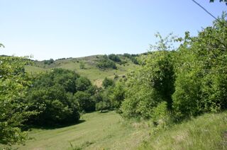  Ferme à vendre 317 m²