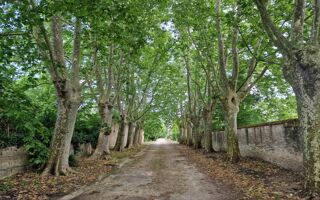  Propriété/château à vendre 840 m²