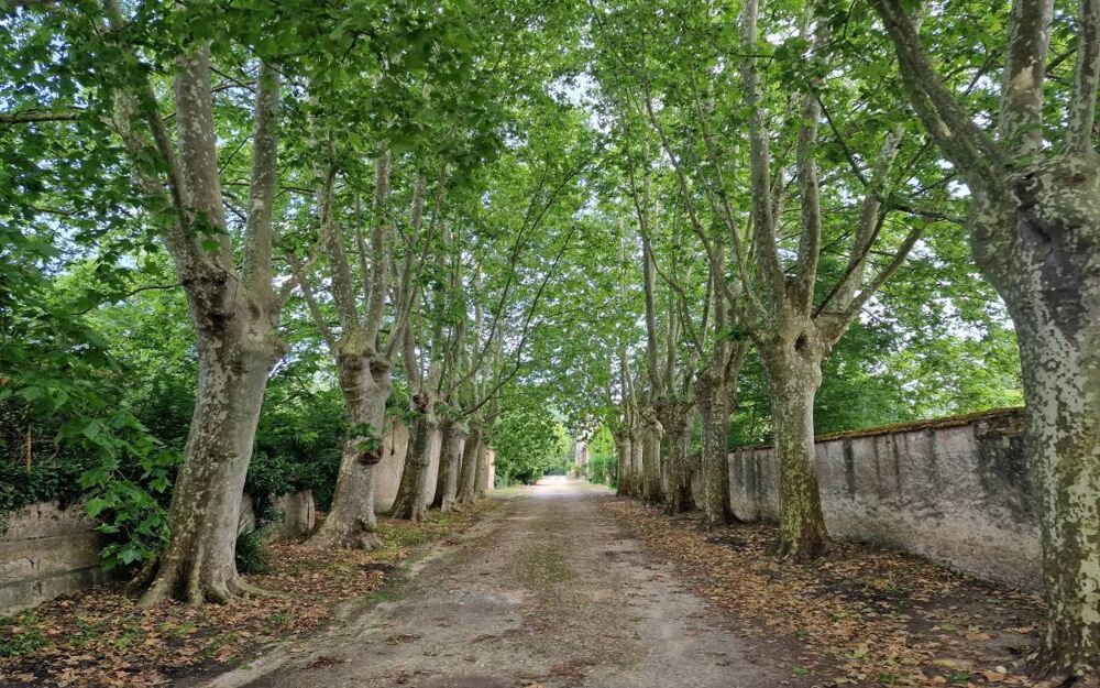  vendre  Proprit/chteau Carcassonne (11000)