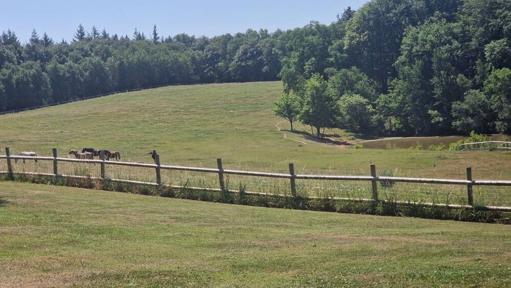 MAS, FERME A VENDRE SECTEUR INCONNU, SUD DE LA FRANCE