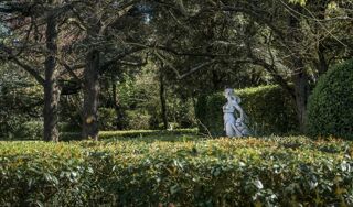  Propri�t�/ch�teau � vendre 455 m�