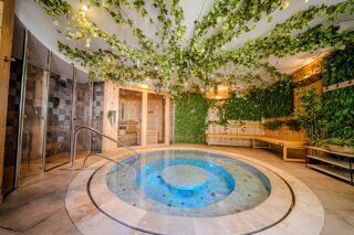  Propriété/château à vendre 1300 m²