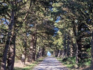  Ferme � vendre 1000 m�