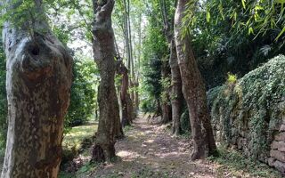  Propri�t�/ch�teau � vendre 1086 m�