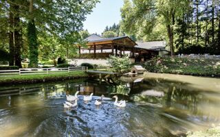  Ferme à vendre 435 m² Carcassonne