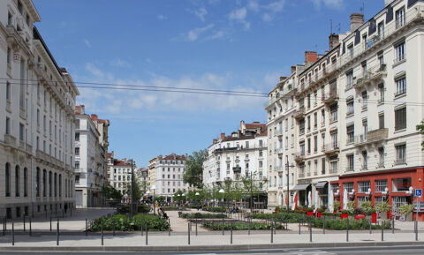 Image Annonce