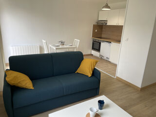  Appartement à louer 1 pièce 29 m²