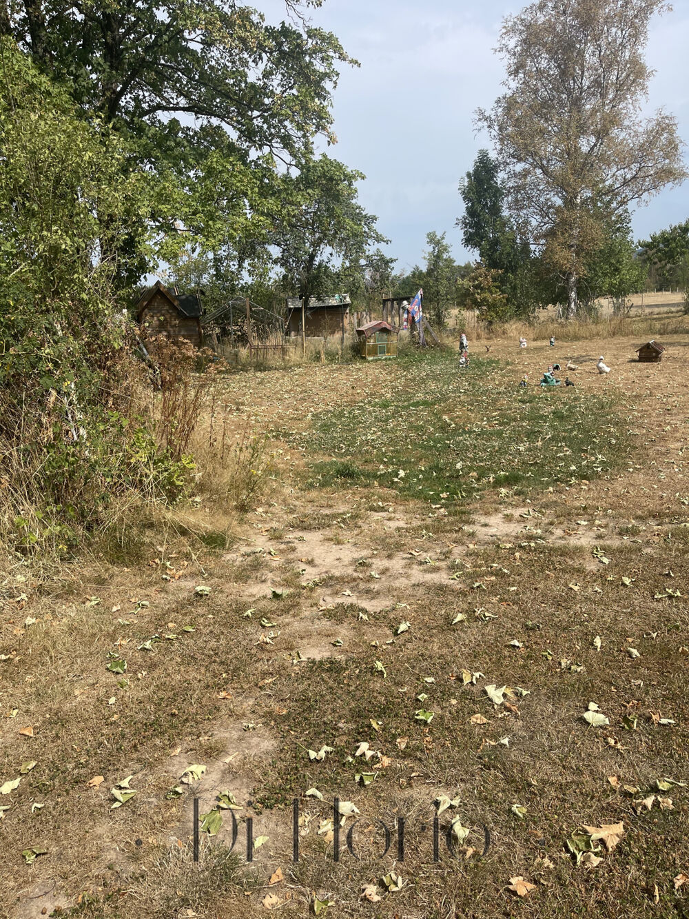 à vendre  Maison Saulcy-sur-Meurthe (88580)