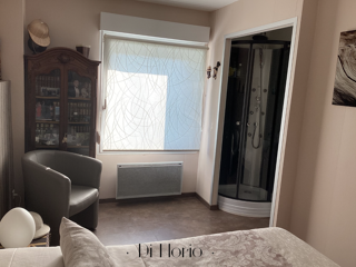  Maison à vendre 15 + pièces 335 m²