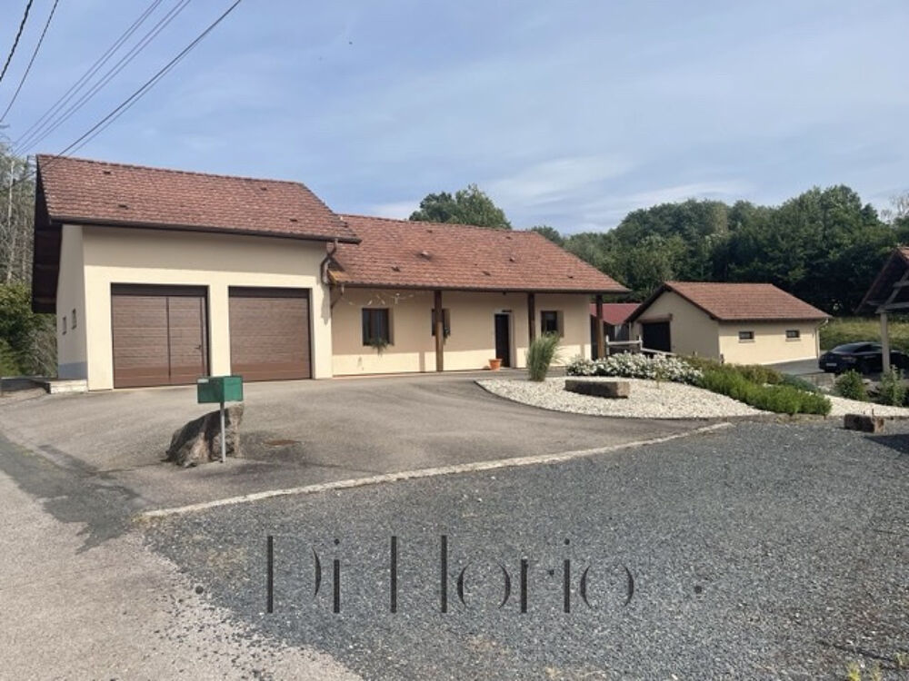 Vente Maison Saint-Dié-des-Vosges - Marzelay - Jolie maison dans quartier calme et verdoyant St die des vosges