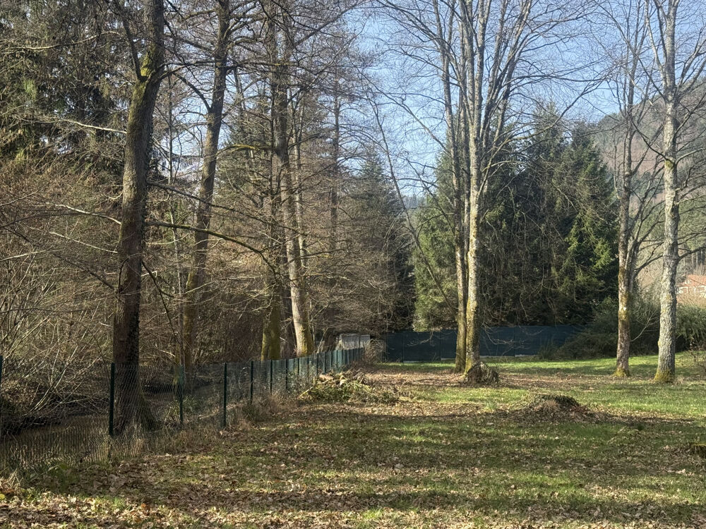 Vente Maison Saint-Dié-des-Vosges - Spacieuse maison d'environ 200m2 St die des vosges