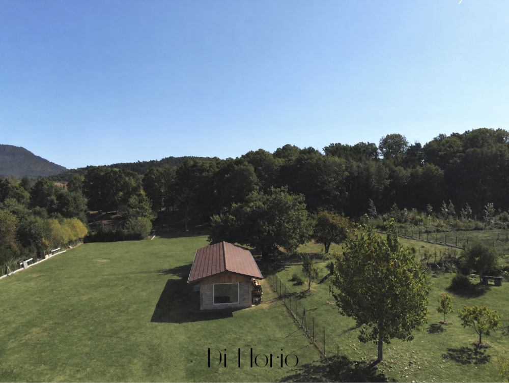 à vendre  Maison Taintrux (88100)