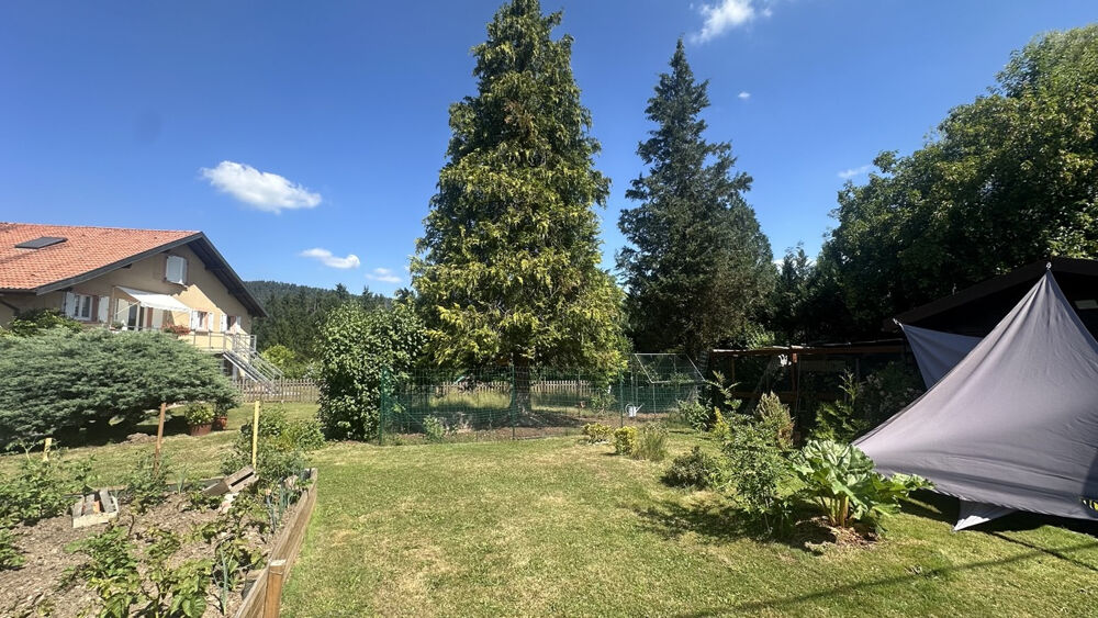 à vendre  Maison Saint-Dié-des-Vosges (88100)