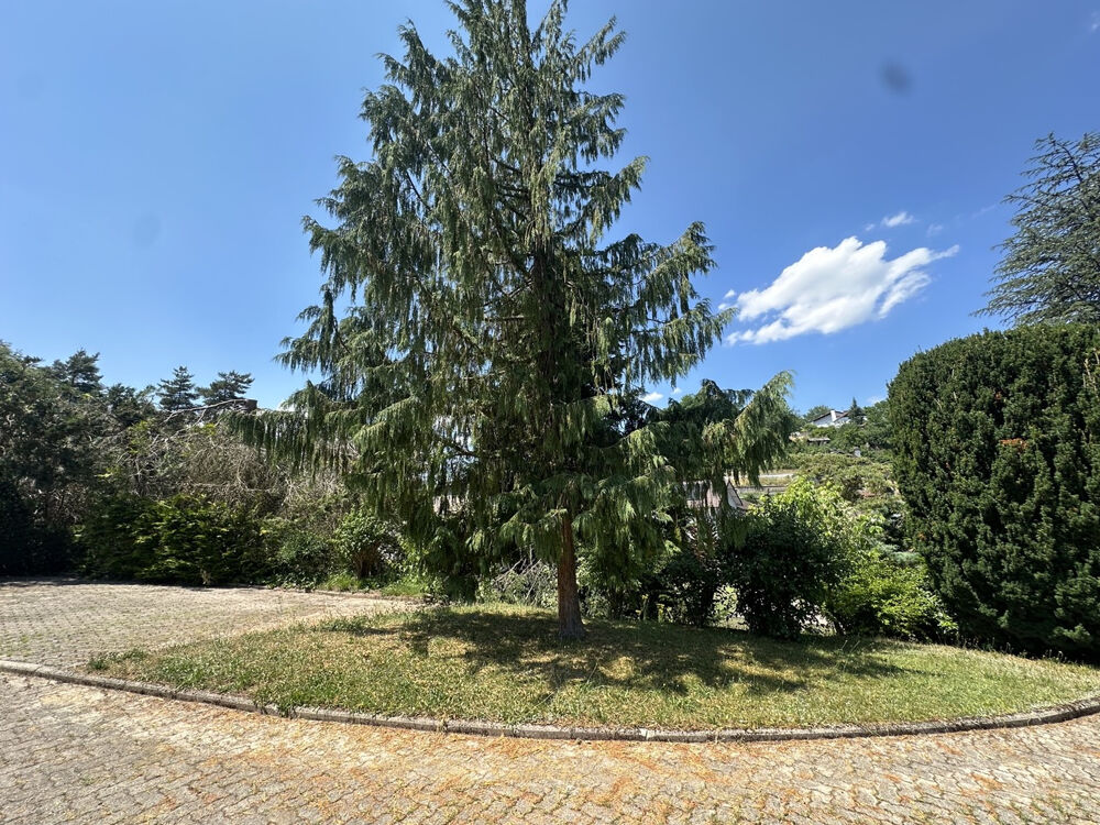Vente Maison Saint-Dié-des-Vosges - Grande maison familiale - proche centre-ville St die des vosges