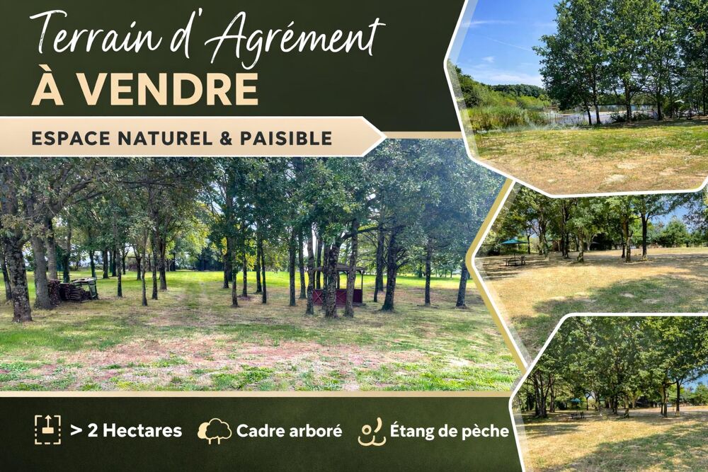 Vente Terrain Terrain Les pineaux
